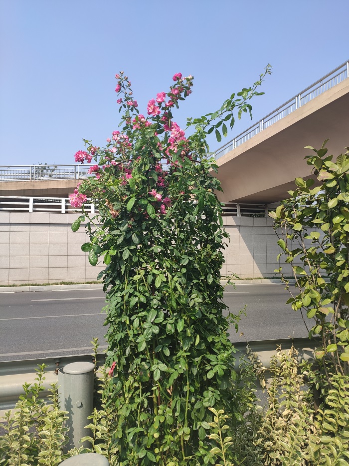 微信圖片_20190930180328.jpg