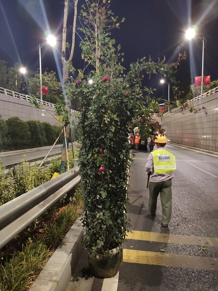 微信圖片_20190930180340.jpg